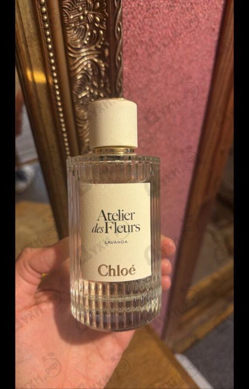 Парфюмерия Lavanda от Chloe