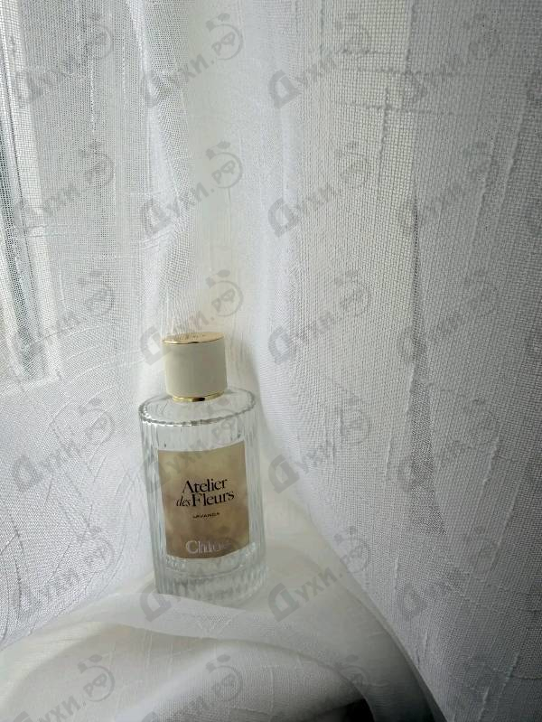 Парфюмерия Lavanda от Chloe
