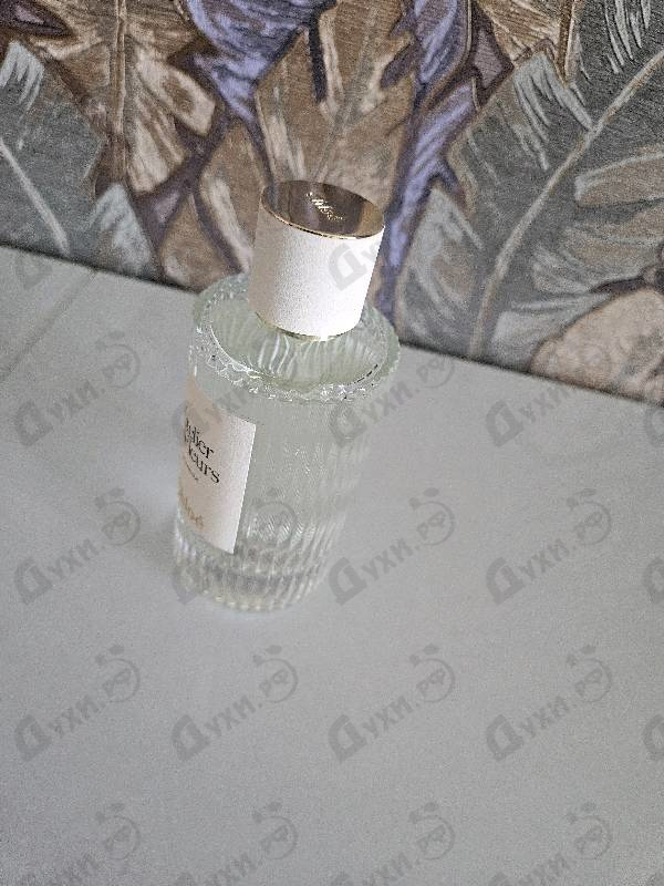 Парфюмерия Lavanda от Chloe