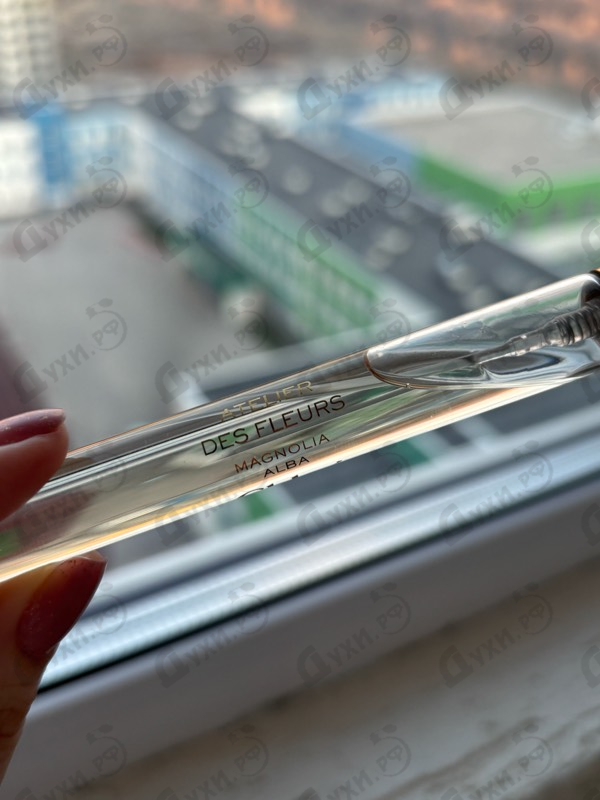 Купить Magnolia Alba от Chloe