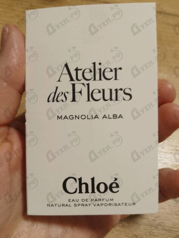 Купить Magnolia Alba от Chloe
