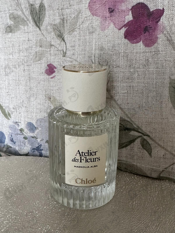 Купить Chloe Magnolia Alba