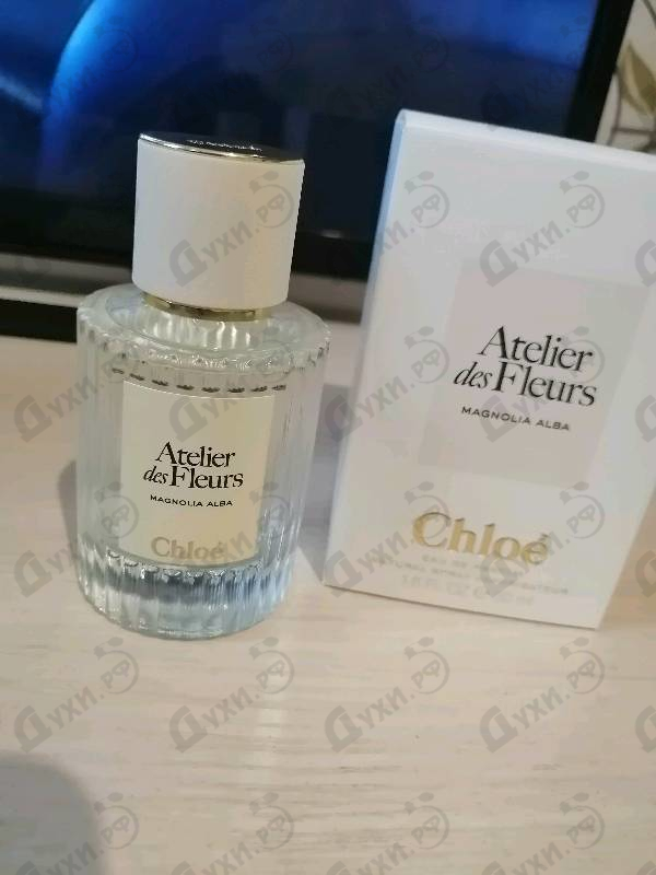 Купить Magnolia Alba от Chloe