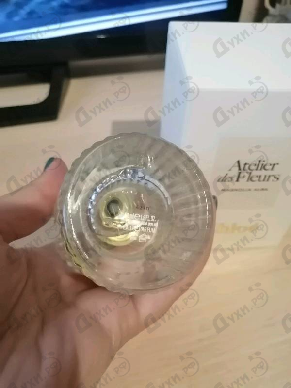 Отзыв Chloe Magnolia Alba