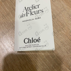 Отзыв Chloe Magnolia Alba