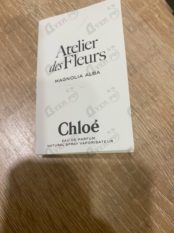 Купить Magnolia Alba от Chloe