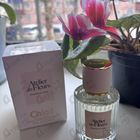 Отзывы Chloe Magnolia Alba