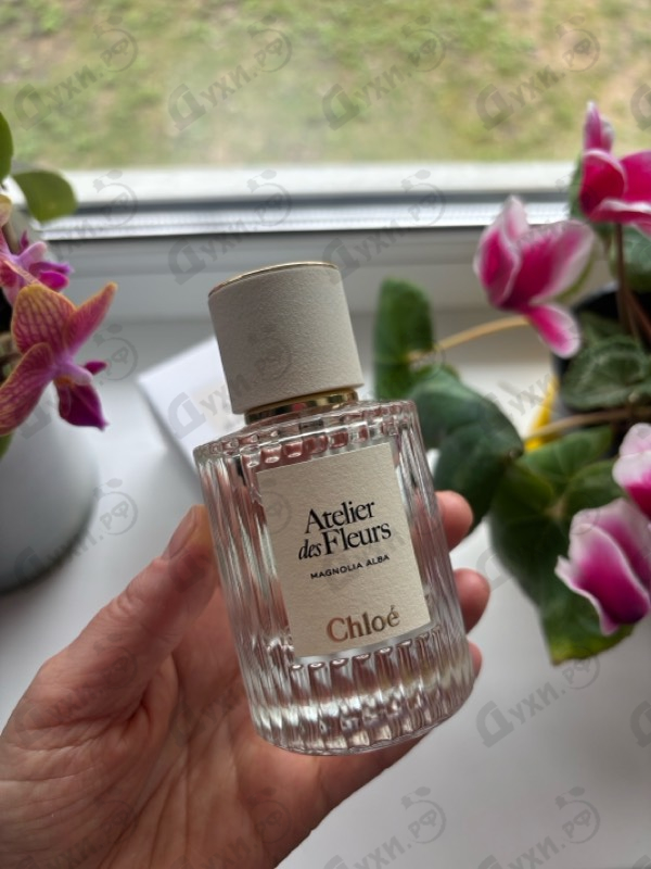 Отзыв Chloe Magnolia Alba
