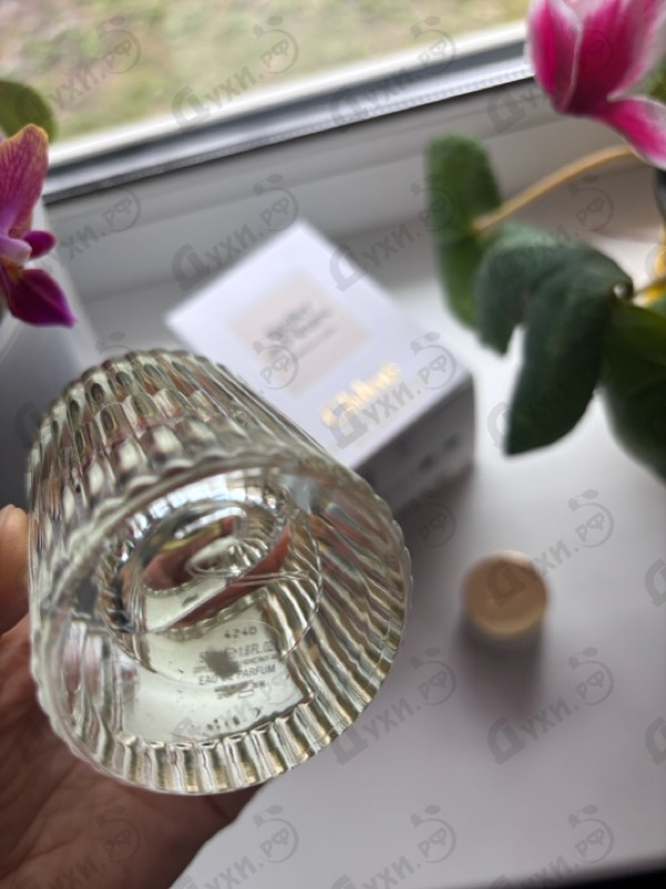 Парфюмерия Magnolia Alba от Chloe