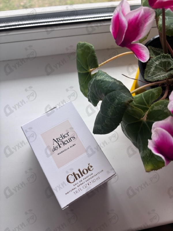 Отзыв Chloe Magnolia Alba