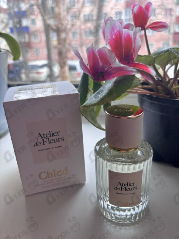 Духи Magnolia Alba от Chloe