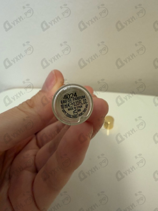 Отзывы Chloe Magnolia Alba