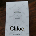 Отзывы Chloe Magnolia Alba