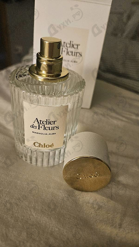 Купить Chloe Magnolia Alba