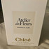 Парфюмерия Magnolia Alba от Chloe