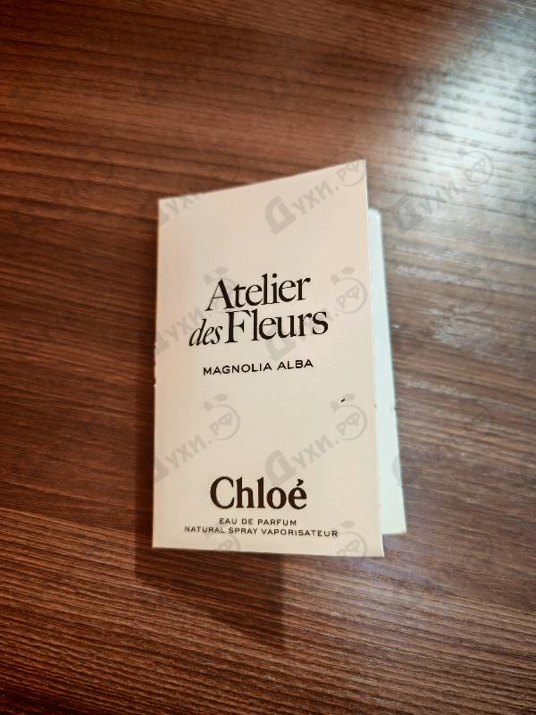 Купить Chloe Magnolia Alba
