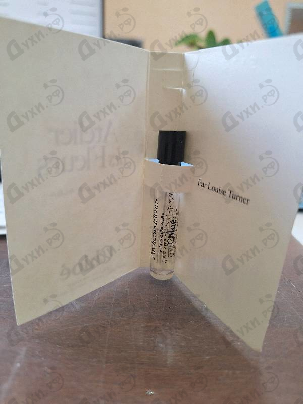 Купить Magnolia Alba от Chloe