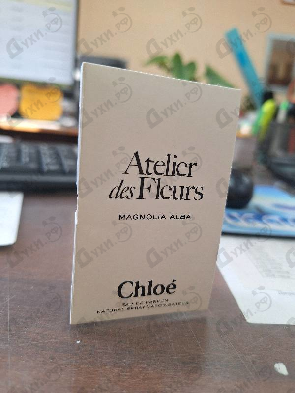 Парфюмерия Magnolia Alba от Chloe