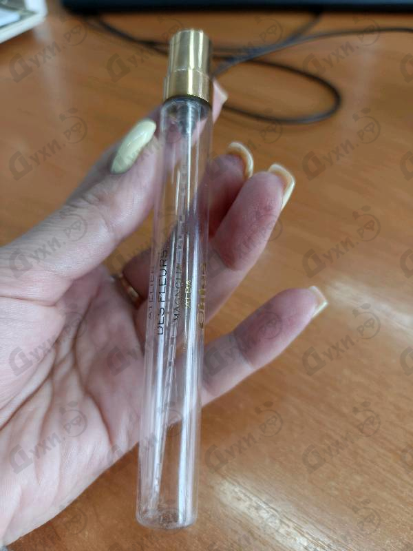 Отзывы Chloe Magnolia Alba