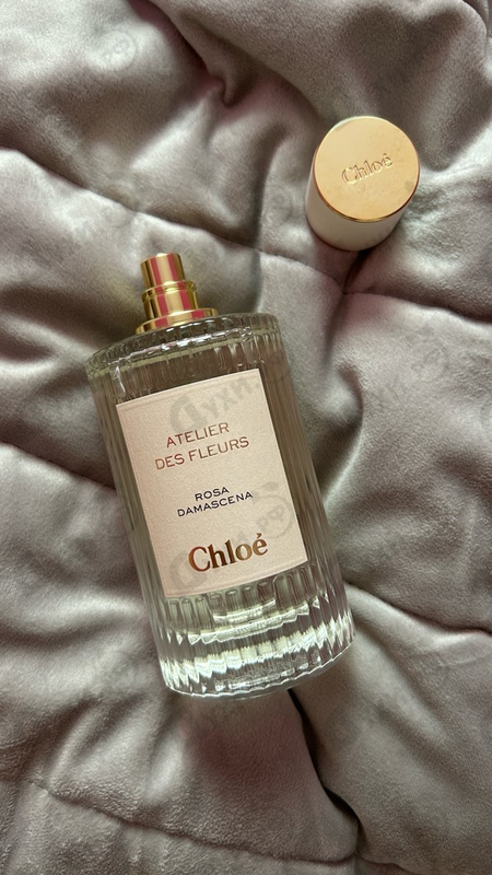 Купить Rosa Damascena от Chloe