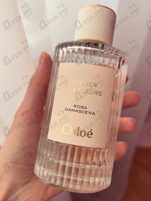 Отзывы Chloe Rosa Damascena