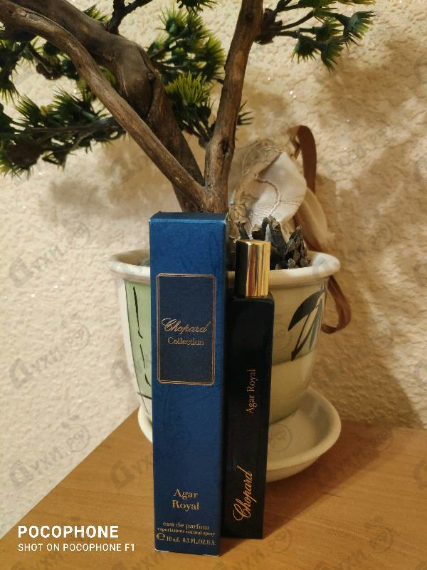 Купить Agar Royal от Chopard