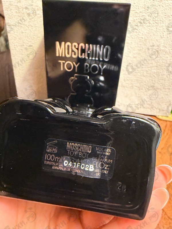 Купить Toy Boy от Moschino