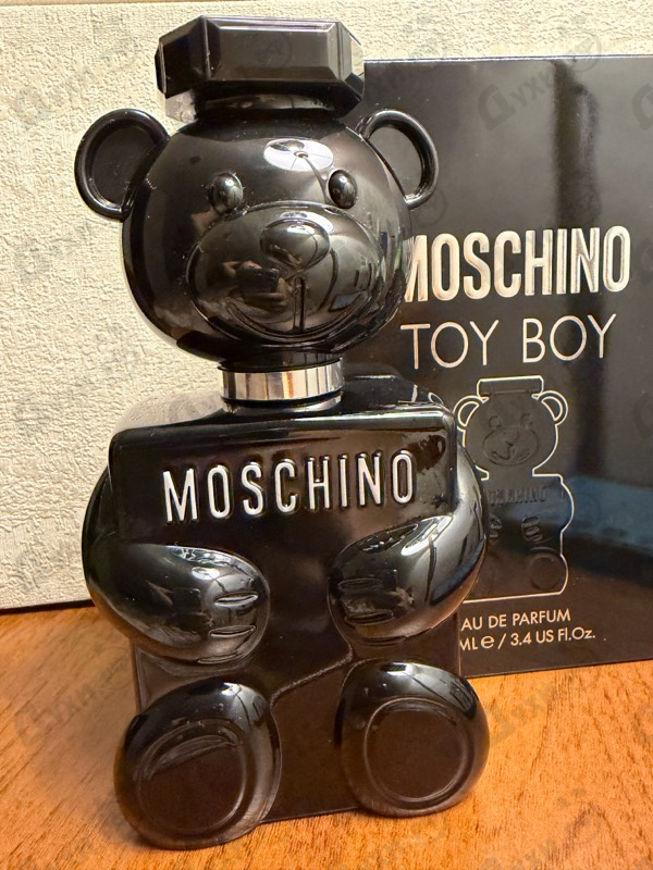 Купить Toy Boy от Moschino