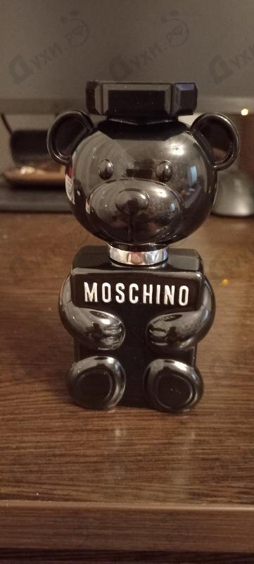 Купить Toy Boy от Moschino