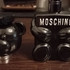 Купить Toy Boy от Moschino