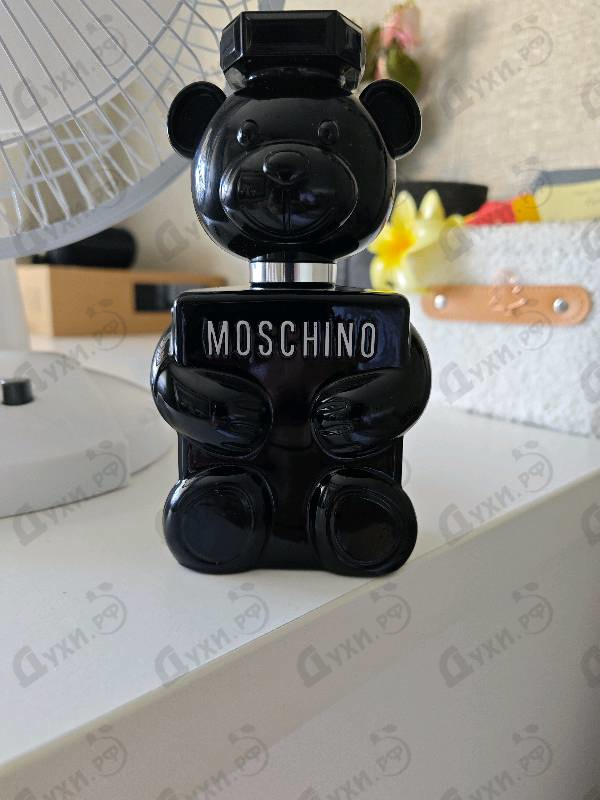 Купить Toy Boy от Moschino