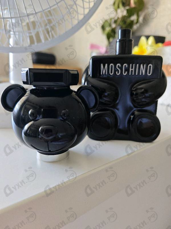 Купить Toy Boy от Moschino