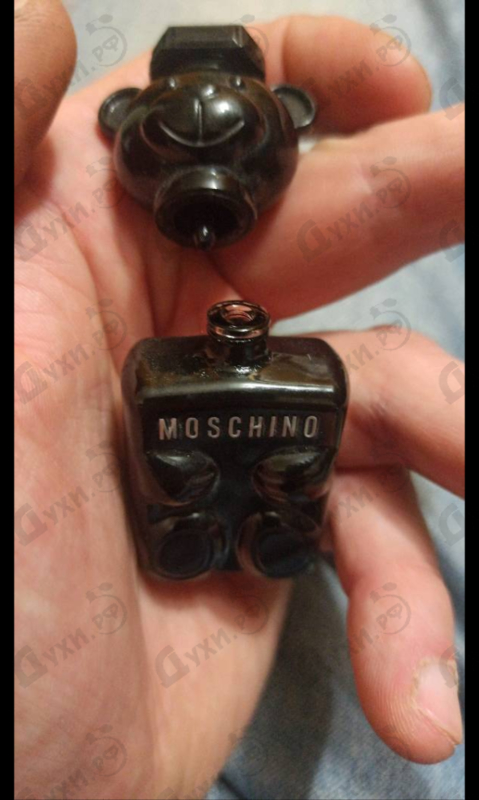 Купить Toy Boy от Moschino