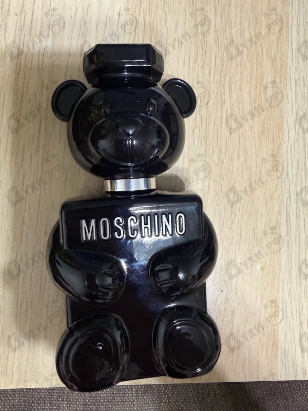 Купить Toy Boy от Moschino