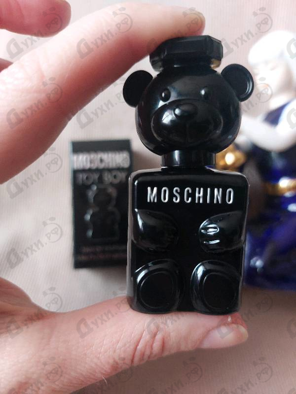 Купить Toy Boy от Moschino