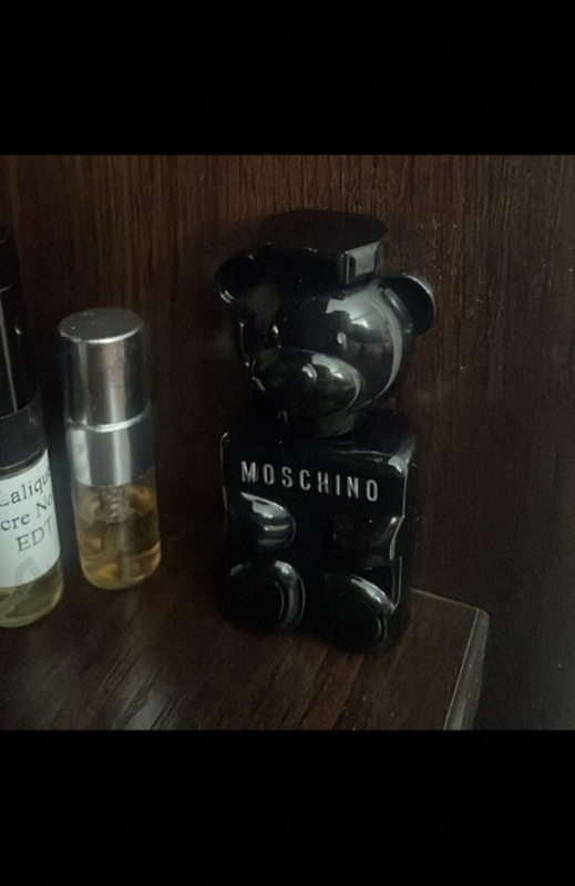 Купить Toy Boy от Moschino