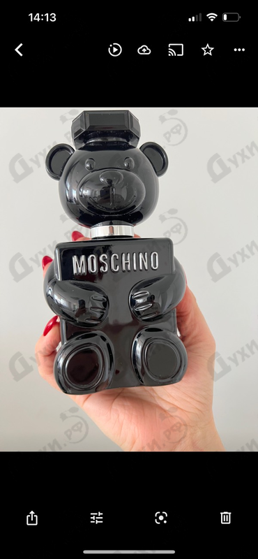 Купить Toy Boy от Moschino