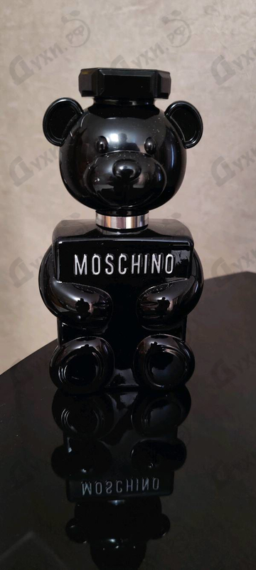 Купить Toy Boy от Moschino