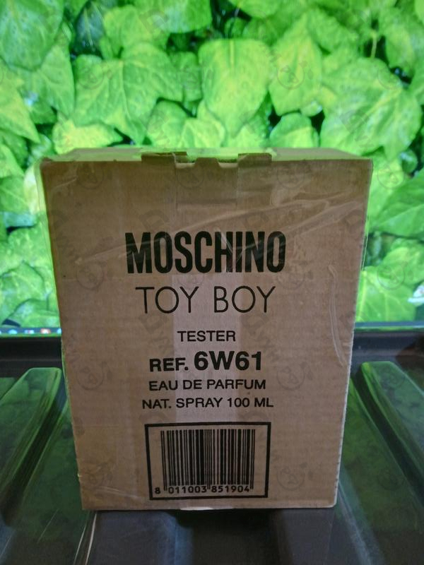 Купить Toy Boy от Moschino