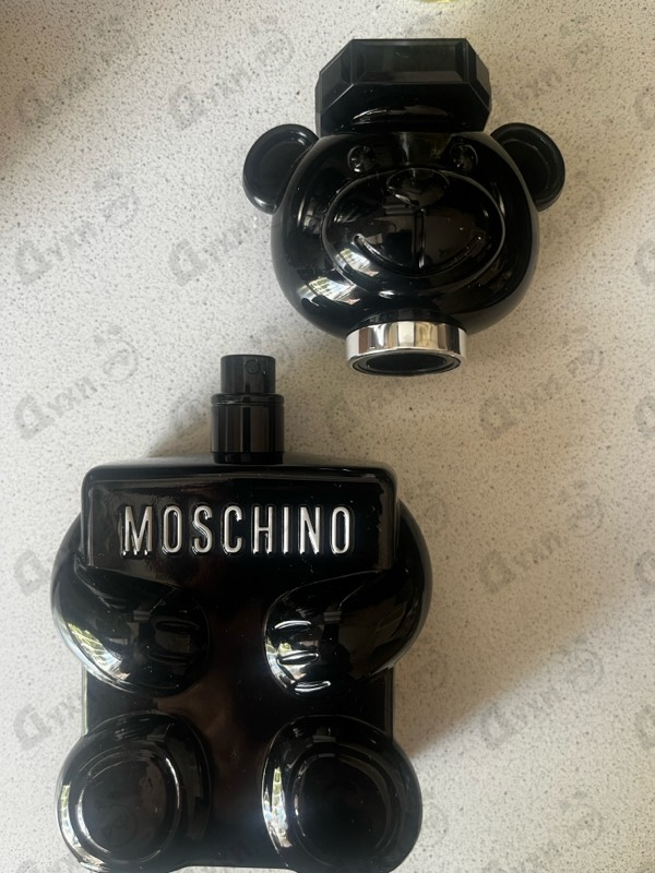 Купить Toy Boy от Moschino
