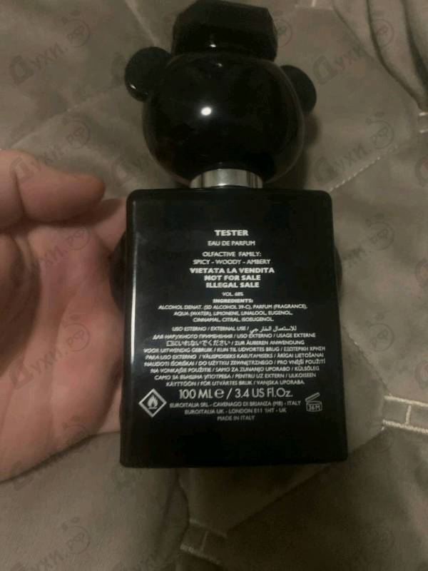 Купить Toy Boy от Moschino