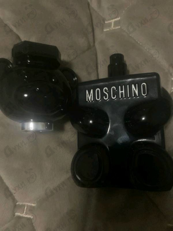 Купить Toy Boy от Moschino