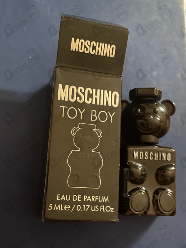 Купить Toy Boy от Moschino