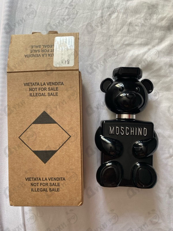 Купить Toy Boy от Moschino