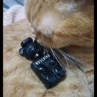 Духи Toy Boy от Moschino