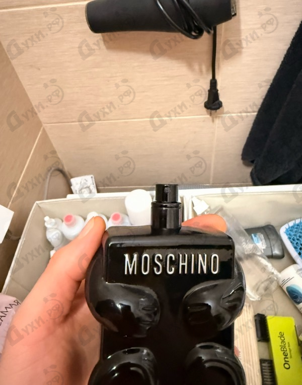 Купить Toy Boy от Moschino