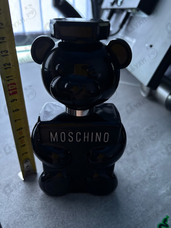 Купить Toy Boy от Moschino