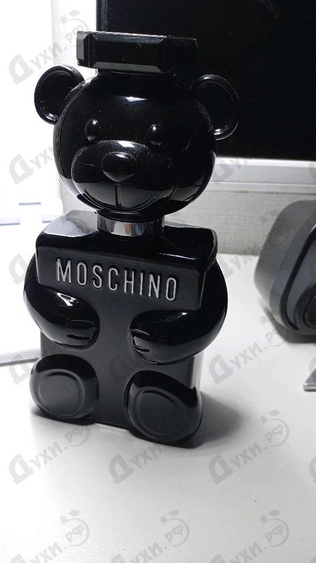 Купить Toy Boy от Moschino