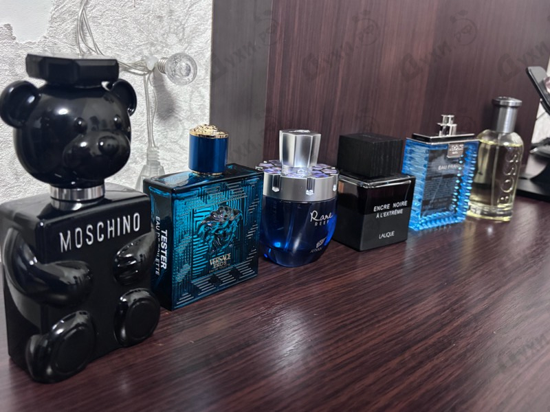 Купить Toy Boy от Moschino