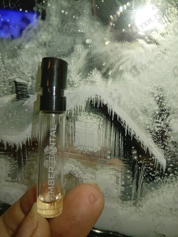 Купить Ajmal Amber Santal